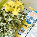 @awaoffton_official 様より﻿お試しさせて頂きました☆*&deg;﻿﻿﻿【新発売】﻿AM・おはようウォッシュ﻿﻿朝専用のもこもこ泡洗顔୧꒰*&acute;꒳`*꒱૭﻿﻿&hellip;のInstagram画像