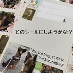 届いたシールで早速お手紙💌自慢したくてぺたぺた貼っちゃいました😍気の向くままどんどん貼ったらごちゃごちゃに💦配置センスがない🤣３枚目は、最近お腹を出してくれるようになったシェルくんです🐕🐕&hellip;のInstagram画像