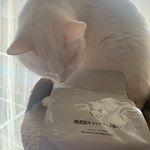 久しぶりにお気に入りの餌できたね💕食にうるさい猫😹#キャットフード,#無添加キャットフード#無添加キャットフード安心 #無添加安心本舗 #monipla #dogfoodmutenkahonpo_&hellip;のInstagram画像