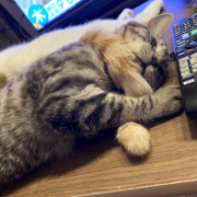 「るんるん！」【インフルエンサー募集】高級美髪シャンプートリートメントへアケアセットをプレゼント♪の投稿画像