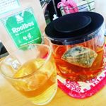 頂き物のルイボスティー☕ノンカフェインなので授乳期の今にぴったりでありがたいです。クセもなく、美味しく頂きました。今飲んでいるルイボスティーは紅茶のような味でこれはこれで気に入ってます&hellip;のInstagram画像