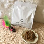 .♡無添加キャットフード安心♡.安全・安心・無添加人が食べられる食材でつくったキャットフード❤.抗菌剤を使用せずに善玉菌を増やして腸本来の機能を高める安心安全な無添加フ&hellip;のInstagram画像