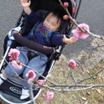 梅の花きれいだねーこれからもすくすく元気に育ってね♪#愛の木に願いを #メリーチョコレート #monipla #mary_fanのInstagram画像