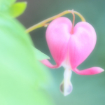 ひさびさ投稿！メリーチョコレートカムパニーさんのモニター応募。お題は「今、願うことは何ですか？」 毎日何かと忙しいけど、ほっこりできる趣味の時間を大切にしたい、時間を作りたいな、ということです&hellip;のInstagram画像