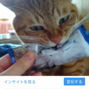 「たまこです」オヤツ大好きなネコちゃん大募集！★食いつき抜群★安心おやつ『鹿ピューレ』の投稿画像