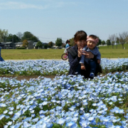 「ネモフィラ畑で」【ママとお子様のとのお写真♪】赤ちゃん・子供のためにママモデル東原亜希＆高橋ミカが開発の乳液☆の投稿画像