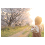 . わたげ、ふわっ♡..#わたげ　#しなっとしてる..ふわっ、しなっと言えば&hellip;⿻*.&middot;..サロン専売メーカーであるメロスコスメティックスが研究開発したヘアエイジ&hellip;のInstagram画像