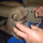 #モワトレ #薬用 #デオドラント #頭のニオイ #エチケット #ヘアフレグランス #バックハグ #あるある #monipla #mandom_fanのInstagram画像