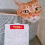 3ヶ月モニターチャレンジはじめます。猫がいつも寝ているベッドの中に入れました。人間が外出中と夜間はここにずっといるはずの場所です。ダニが1番多かったら、クオカードがもらえるらしい🤣&hellip;のInstagram画像