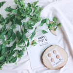 .﻿✴︎┈┈┈┈┈┈┈┈┈┈┈┈┈┈┈✴︎﻿﻿マーシュフィールド﻿『SC クリーミィタッチファンデ』﻿サンプルセット﻿﻿YouTubeで見かけたり﻿友人からカバー力が本&hellip;のInstagram画像