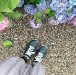 おうちの前に毎年咲く紫陽花♡♡今年も綺麗に咲いてる･ヒラキのレインシューズ@hiraki_official 雨の日でも足元安心ヽ(*&acute;&forall;｀)ノ1,380+税 なので、1&hellip;のInstagram画像