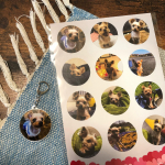 .Seel様よりご提供頂き、世界に1つだけの愛犬がっぴのシールとキーホルダー作ってもらいました🥺💓スマホからシールとかキーホルダーが作成できるアプリ☺️.・１枚１枚カットされている&hellip;のInstagram画像