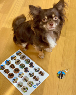 ..　@seel.jp のアプリでロックの.シールとキーホルダー作ってみたよ🐶❤️..お気に入りの写真で📸..画質悪くなったり.するんじゃないかなぁとか.思ったけど&hellip;のInstagram画像