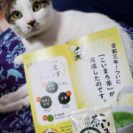 しっかり雨のこんな日は温かいお茶が🍵飲みたくなる💖まろやかで飲みやすいキレイ#こいまろ茶 #宇治田原製茶場 #月刊茶の間 #こいまろ #monipla #chanoma_fanのInstagram画像