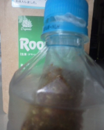 #タイガールイボスティー#ルイボスティー#生葉ルイボスティー#オーガニックルイボスティー#オーガニック生活#ノンカフェイン#monipla#rooibosTIGER_fan&hellip;のInstagram画像