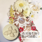 マカン様より使用させていただきました。﻿﻿マカンの柳田酵母です。﻿﻿こちらはタブレットタイプのもの。﻿バナナ味で美味しいです🥰🥰﻿﻿動画がめちゃくちゃ普段感すみません😂😂😂&hellip;のInstagram画像
