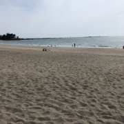 「たのしみ」サプリを飲むだけではお腹がスッキリしなかった方へ！【スクラブレスナイト】を試してみませんか？の投稿画像