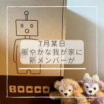 兄弟の行事や送迎などで下校時間に家にいられないことがあり、小学生には鍵を持たせています。小学4年生の長男は平気ですが（私は少し心配）、小学2年生の長女はとっても不安そう。我が家に新しく仲間&hellip;のInstagram画像