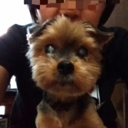 「珍しくカメラ目線(笑)」DOGSTANCE 鹿肉麹熟成＜Instagram動画＞投稿モニター10名様大募集！の投稿画像