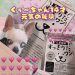 愛犬くぅ〜ちゃん(@cuu_gohan)14才の元気の秘訣🐶🐶🐶.今日は【玄米酵素すっきりだワン】のご紹介をいたします◎.👉@genmaikoso_official..19&hellip;のInstagram画像
