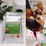 今日はワンコのフードについてです。『DogStance』さんの「鹿肉麹熟成ドックフード」をあげてみました。普段「ロイヤルカナン ミニインドアアダルト シニア」を与えているのですが、フードを変え&hellip;のInstagram画像