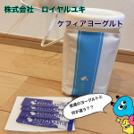 ロイヤルユキさんのケフィアヨーグルトスターターキットを試してみたよ😋ヨーグルトは好きで毎日食べてて普通のヨーグルトメーカーを使ってるんだけどより良いものを✨って事で生きたまま腸に届くケフィアヨーグルト&hellip;のInstagram画像