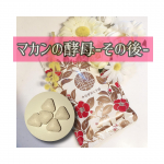 マカンの柳田酵母の経過です✨✨✨﻿﻿﻿娘と息子とポリポリしてたらあっという間になくなりました😭😭😭﻿﻿﻿おさらいとしてこちらは24種類46億個の有用微生物が入っており、こちらが&hellip;のInstagram画像