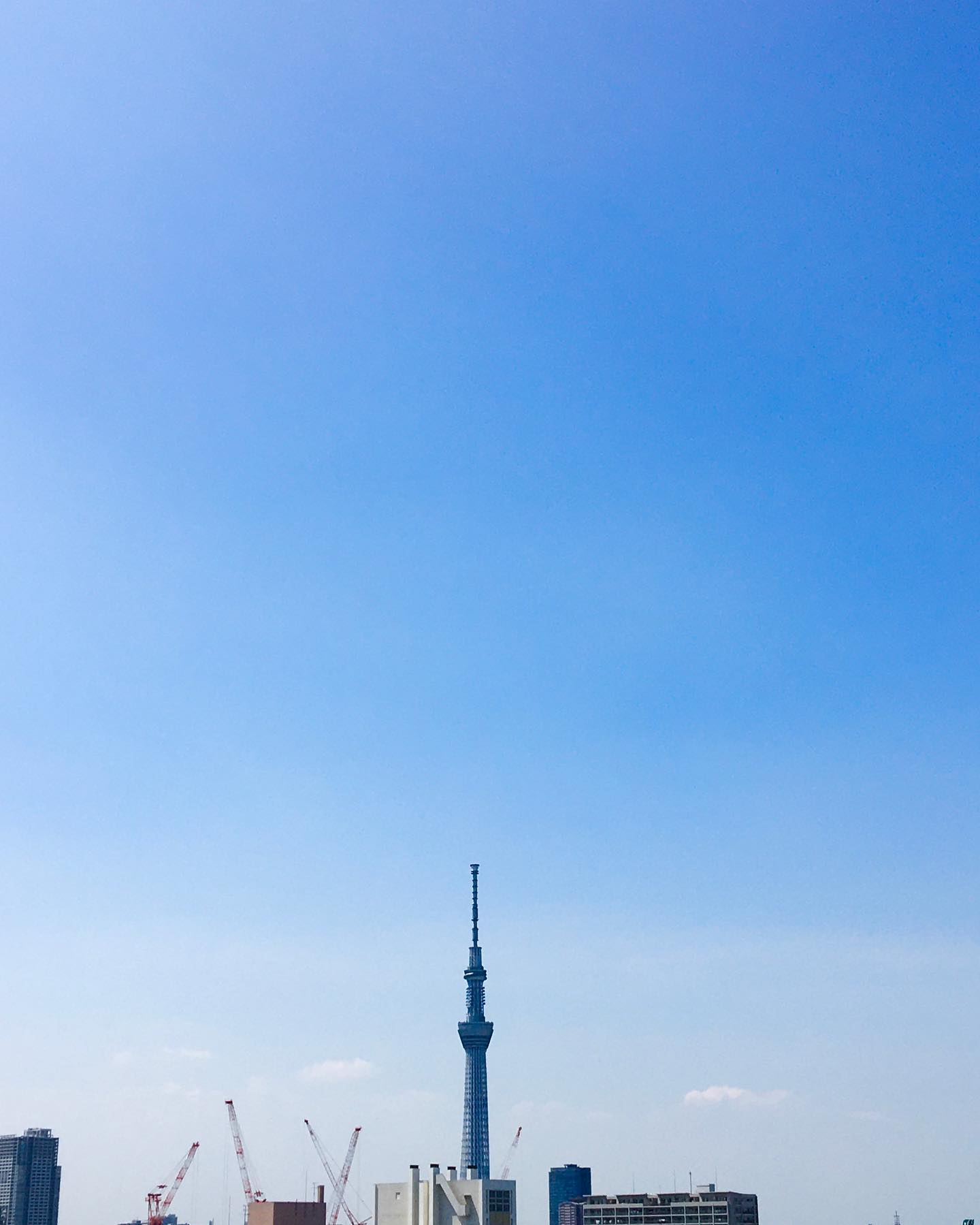 口コミ投稿：#青 カーテンもシーツも全て洗ってすっきり！梅雨のじとじととモヤモヤをさっぱり落…