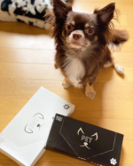 ..LOHACO限定のペット用消臭袋🐶..パッケージがモノトーンやし.シンプルやし一目惚れ❤️..袋透けないししっかりしてるから.黒い箱のSサイズはお散歩用に最適✨.&hellip;のInstagram画像