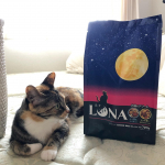 .キャットフードLUNA。.安心の国産品のドライフードで味は2種のアソート。.かつお節としらす添えとかつお節とほたて味ビッツ添え。.小分けの4袋入りで健康維持に配慮した&hellip;のInstagram画像