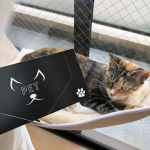 .#LOHACO ペット用防臭袋。.しっかりとした素材で中身が見えにくいからいろいろな用途に使用できる。.ペットシーツや猫砂を入れるのにすごく便利。.サイズはSとMの2サイ&hellip;のInstagram画像