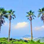 先週の、両親との一泊旅行。猛暑でしたが娘達はお構いなしに、浜辺を走り回っていました😅1日歩き回ると、必ずと言っていいほど、腰が痛くなるワタシ、、😂.口コミでも高評価な、腰痛をケ&hellip;のInstagram画像