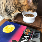 グルメな猫ちゃんに！LUNAを愛猫にあげてみました。●警戒心が強い●カリカリの選り好みが凄まじいそんなうちの子が、食べたー！！！めっちゃカリカリしてるー！ぶっちゃけ&hellip;のInstagram画像