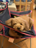 ちょうどいいのよ