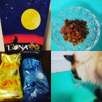 ペットラインさんの猫用ドライフード、LUNAをお試しさせていただきました。パッケージがキャットフードぽくなくて、正直なところ食べるか不安でした。とっても食い付き良かったです！2匹とも良く食&hellip;のInstagram画像