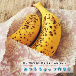 洗って繰り返し使えるECOなみつろうラップを作ってみました🙌🏻😇アイロンで温めるだけで簡単に出来るので慣れてくると作る時アレンジとかも加えられそう(๑⃙⃘ˊ꒳​ˋ๑⃙⃘)果物やお菓&hellip;のInstagram画像