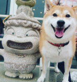 可愛いやんちゃなお姫様&hearts;️