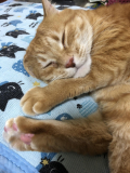 「あいーん」の画像（1枚目）