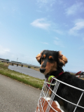 自粛中