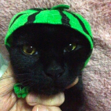 「サングラスとかぶりもの」の画像（3枚目）