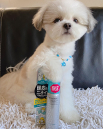 今日はママのマンダム.モワトレ薬用デオドラントショット.ひんやりクリアハーブの香りの紹介.おててを乗せてポーズ🐾俺のお散歩やトレーニングするとママは頭がムンムンするらしい💦帽子をか&hellip;のInstagram画像