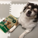 毎日、ご飯の上にかけて与えています💕そのままだとうちの子は偏食なため食べてくれないのでご飯やおやつの上にかけて与えています。ペロリと食べてしまいます😄一時お腹のお薬も与えていたのでmreフ&hellip;のInstagram画像