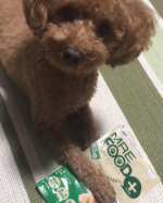 #MREフードプラス を #モニター させていただきました！<1ヶ月目>涙やけに効果抜群です！前は涙やけ用ので拭いてお手入れしてましたが、しなくても全然出なくなりました☺️無味&hellip;のInstagram画像