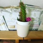 冷凍便で届いてびっくり！アクア・トュルース株式会社様より麗凍化粧品、完全無添加の冷凍クレンジング「バームクリームheart 」「15秒洗顔パック」のご紹介です。麗凍化粧&hellip;のInstagram画像