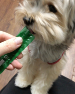 .我が家のお犬さん.ガッツリ食いつけるようになりました！..#MREフードプラス #MREFOODPLUS #MRE成分 #monipla #starnet_fanのInstagram画像