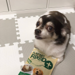 MREフードプラス１ヶ月ちょっと与えてみました。毛艶がでました！もう11歳なので毛艶が良くなかったのですが、この一月で少し毛艶が若い頃に戻った気がします❗️フードに混ぜれば進んでよく食&hellip;のInstagram画像