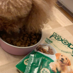 MREフードプラスをお試しして1ヶ月が過ぎました💁&zwj;♀️マイケルはそのまま食べるよりもいつものご飯にかけて食べるほうが好きみたい🙂嫌がることなく毎日モリモリ食べました🤗食べている間&hellip;のInstagram画像