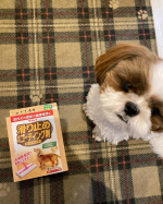 リンレイさんの、滑り止め 床用コーティング剤 シートタイプ をモニターさせて頂きました😍..今まではタイルマットを敷いたり、廊下には長いシートを1枚敷いたりしていたのだけど、おしっこを踏ん&hellip;のInstagram画像