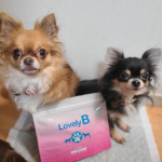 #ラブリービー 使ってみました！どうしても歯石がついてしまって&hellip; 歯磨きが難しい子に良さそう！3匹にあげてみたけどみんなよく食べてくれました♡1匹はラブリービーがかかってるところを選ん&hellip;のInstagram画像