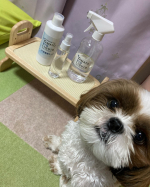 株式会社大和バイオテック 様の 大和バイオリキット のモニターをさせてもらいました☺️💕..ここ最近、えいとが突然おしっこを失敗するように💦おそらく、１回目は単純にトイレに向かってる最&hellip;のInstagram画像